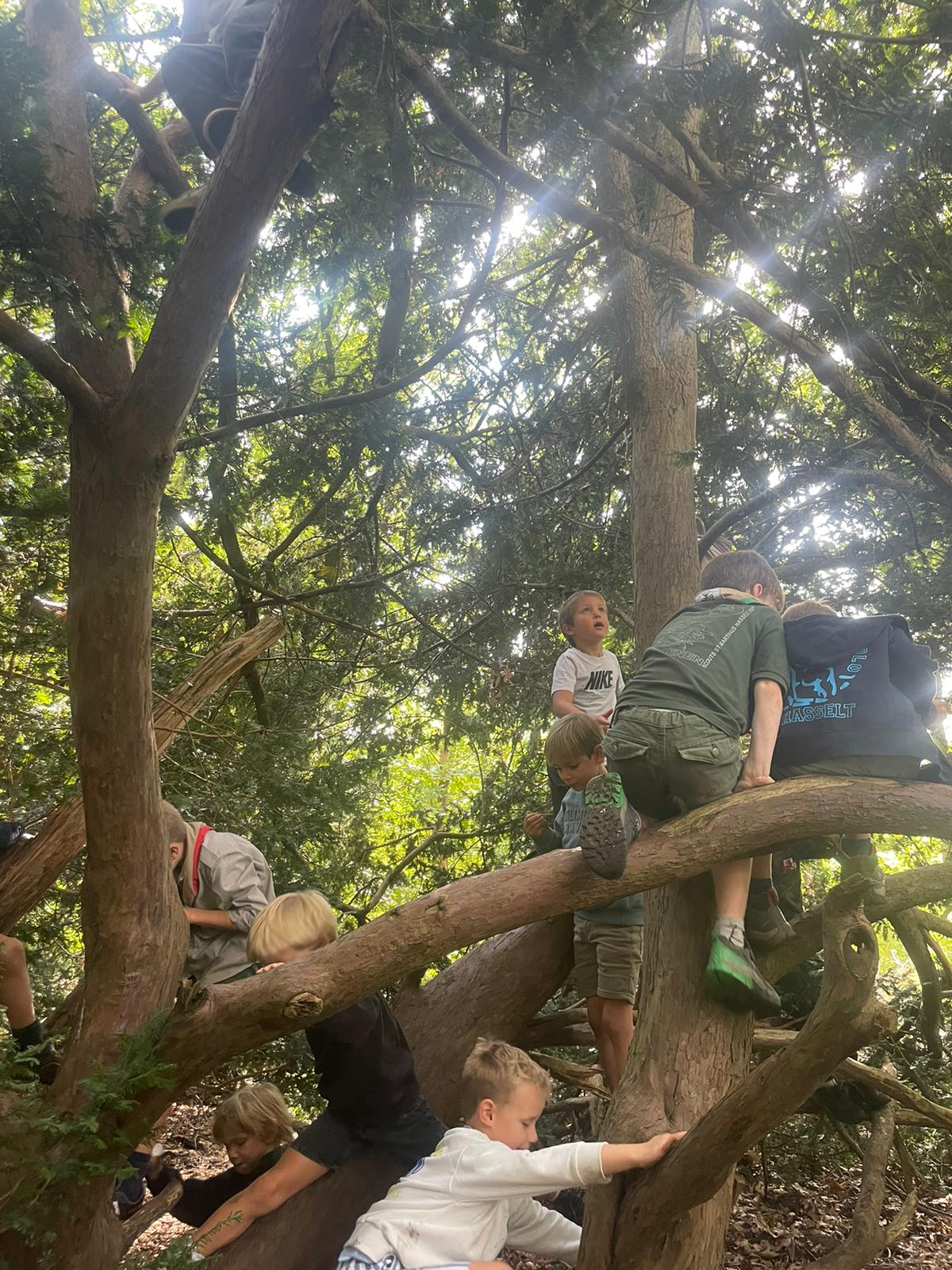 Sint-Martinus den XIIde - Opening 2024